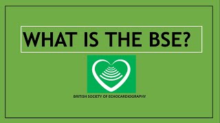 What is the BSE British Society of Echocardiography [upl. by Aneg]