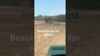 Beautiful day for harvest [upl. by Robbi]