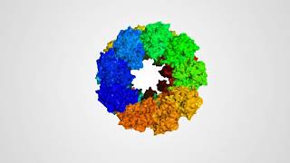 Enhancing enzyme activity in poultry feed using MESP nanotechnology [upl. by Eldrid]