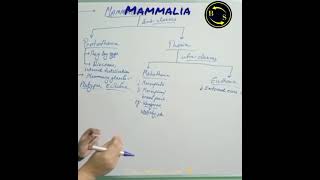 Animal Kingdom Mammalia  Mammalia  Class 11  Part19  btosacademy [upl. by Eduino]