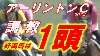 アーリントンカップ2024 追い切り診断！！ ディスペランツァ、シヴァース、オフトレイル等 元馬術選手のコラム by アラシ [upl. by Nidnerb]