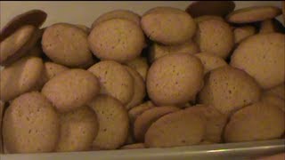 Homemade Vanilla Wafers [upl. by Belloir688]