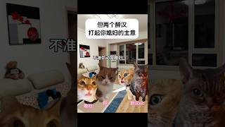 为护怀孕妻子，丈夫一打二 10月26日 cat 喵不可言 猫meme 猫meme小剧场 真实改编 真实故事 肾上腺素shorts [upl. by Hallee]