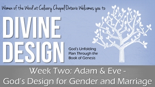 Genesis Wk 2 • Adam amp Eve God’s Design for Gender amp Marriage • Divine Design • Women of the Word [upl. by Annej23]