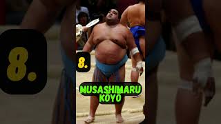 Top 10 Best SUMO WRESTLERS To Ever Exist [upl. by Colligan]