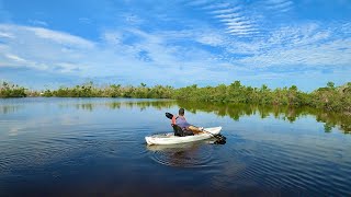 Kayaking Through Florida Mangroves [upl. by Ahsenak]