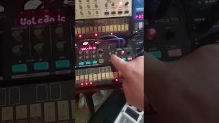 How to start arpeggiator mode on the Korg Volca FM [upl. by Barr]