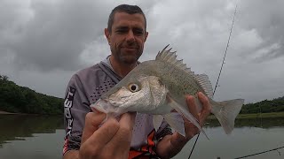 Got to love GRUTNER  Fishing Kwelera River  Eastern Cape South Africa [upl. by Nylassej]