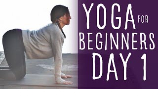 Yoga For Beginners at Home 15 minute 30 Day Challenge Day 1 [upl. by Alrahs644]