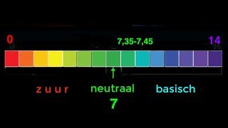 Zuurbase evenwicht deel 1 [upl. by Nesrac299]