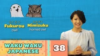 Waku Waku Japanese  Language Lesson 38 Animals [upl. by Monroe]